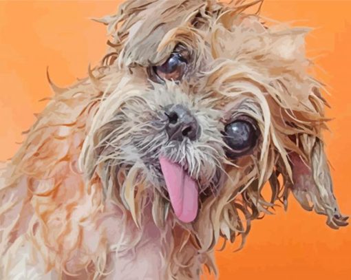 Adorable Wet Dog Diamond Paintings