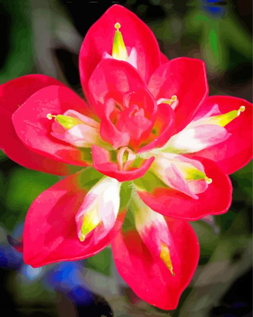 Aesthetic Indian Paintbrush Flower Diamond Paintings