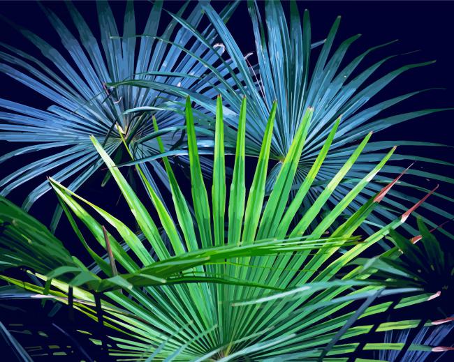 Aesthetic Palm Frond Diamond Paintings