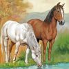 Animals Horses Drinking Diamond Paintings