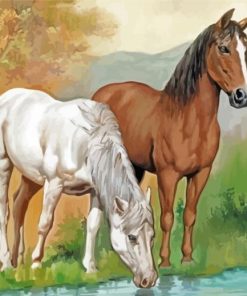 Animals Horses Drinking Diamond Paintings