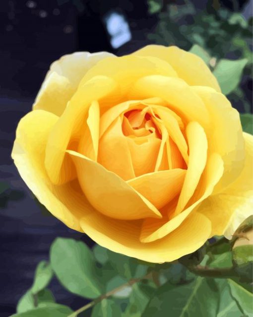 Beautiful Yellow Floribunda diamond painting