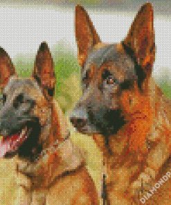 Belgian Malinois Dogs diamond painting