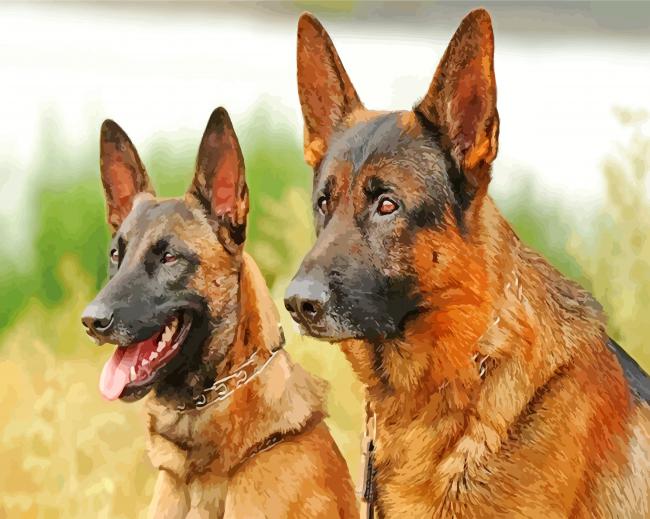 Belgian Malinois Dogs diamond painting