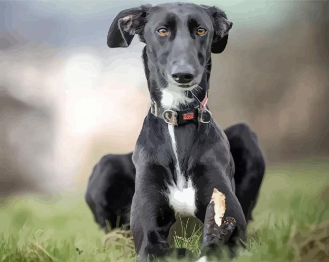 Black Lurcher Dog diamond painting