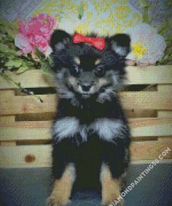 Black Maltipom Puppy diamond painting