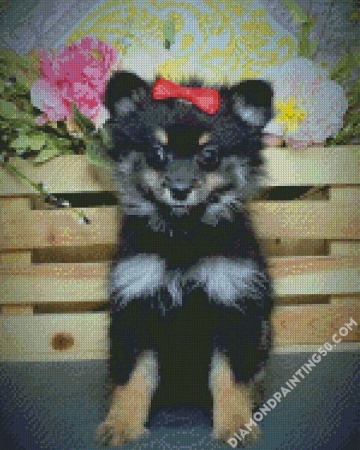 Black Maltipom Puppy diamond painting