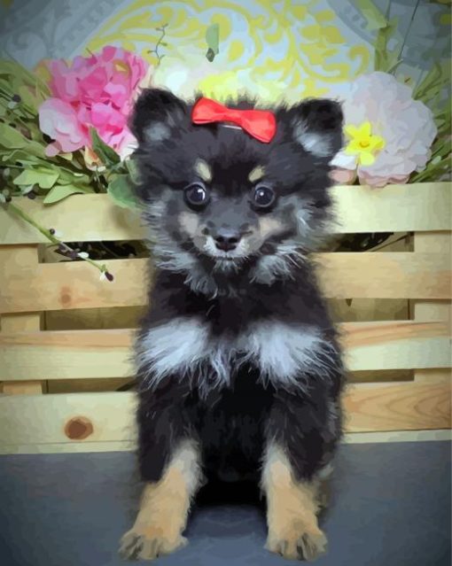 Black Maltipom Puppy diamond painting