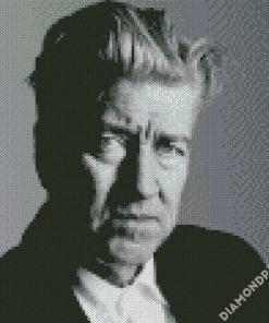 Black And White David Lynch diamond painting