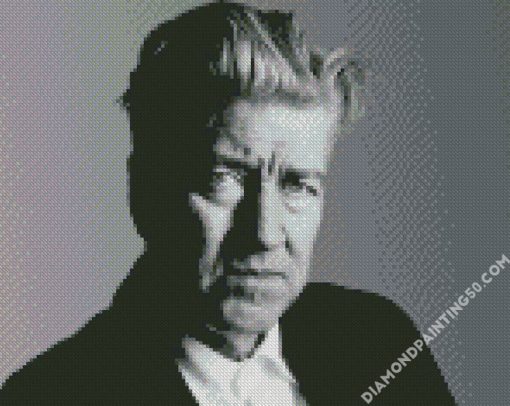 Black And White David Lynch diamond painting