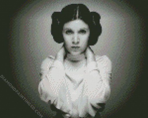 Black And White Princess Leia diamond painting