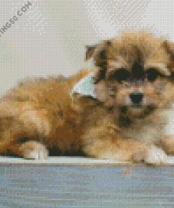 Blonde Maltipom Puppy diamond painting