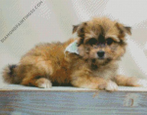 Blonde Maltipom Puppy diamond painting