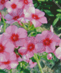 Blooming Phlox Plant Diamond Paintings