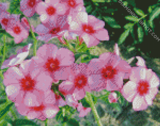 Blooming Phlox Plant Diamond Paintings