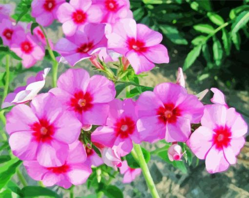 Blooming Phlox Plant Diamond Paintings