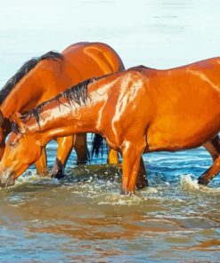 Brown Horses Drinking Water Diamond Paintings