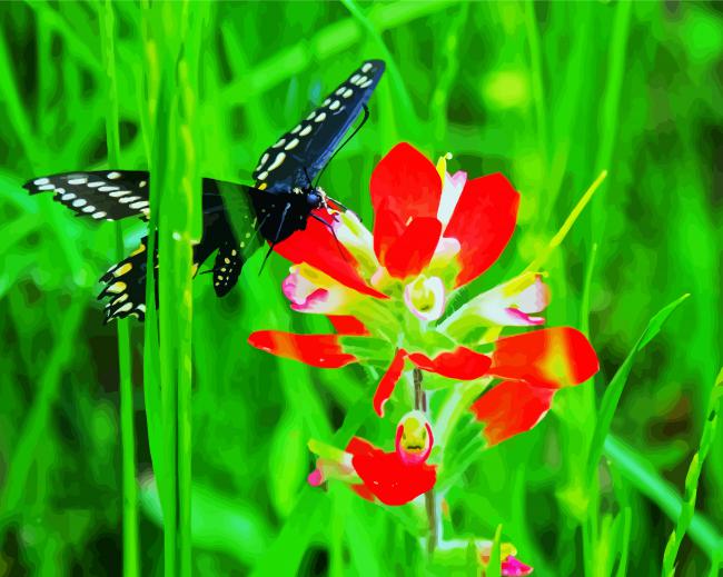 Butterfly On Indian Paintbrush Diamond Paintings