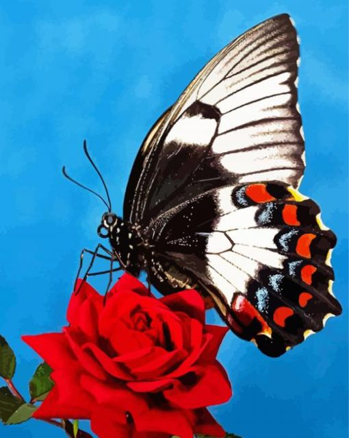 Butterfly Rose Diamond Paintings