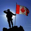 CDN Military Silhouette Diamond Paintings