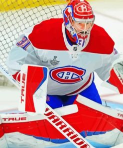 Carey Price Diamond Paintings