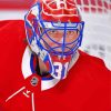 Carey Price Habs Diamond Painting