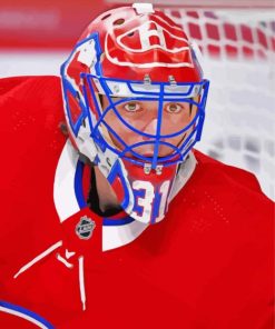 Carey Price Habs Diamond Painting