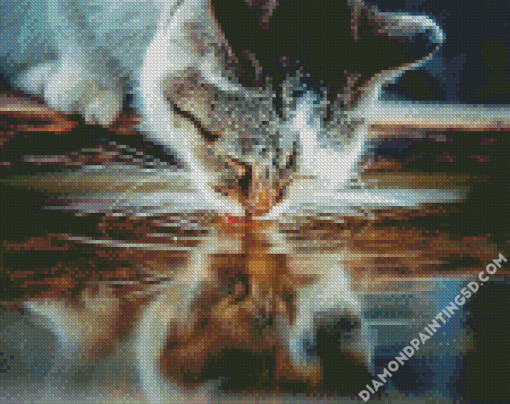 Cat Drinking Water Diamond Paintings