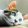 Cat Pastel Art Diamond Paintings