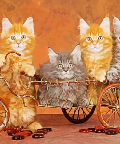 Cats On Bicycle Diamond Paintings