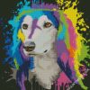 Colors Splash Saluki Dog diamond painting