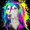 Colors Splash Saluki Dog diamond painting