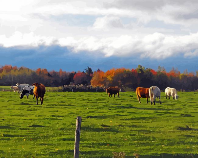 Cows Fall Scene Diamond Paintings