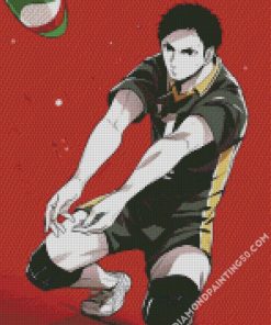 Daichi Sawamura Playing Volleyball diamond painting