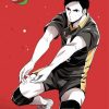 Daichi Sawamura Playing Volleyball diamond painting