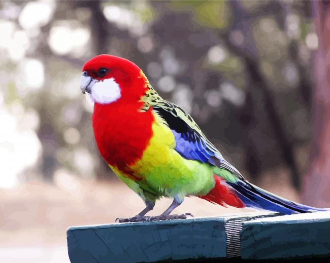 Colorful Rosella Bird Diamond Paintings