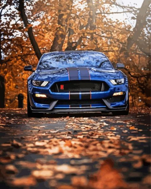 Ford Shelby GT350R Car Diamond Paintings