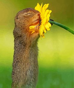 Gopher Smelling Flower Diamond Paintings