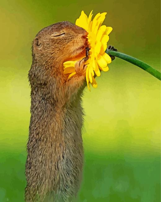 Gopher Smelling Flower Diamond Paintings