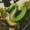 Green Cobra diamond painting