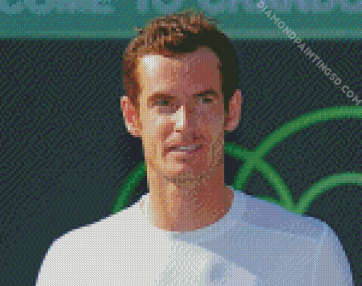 Andy Murray Diamond Paintings