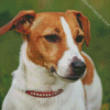 Jack Russel Terrier Dog Diamond Paintings