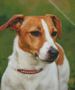 Jack Russel Terrier Dog Diamond Paintings