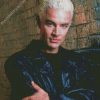 James Marsters Spike Buffy The Vampire Diaries Diamond Paintings