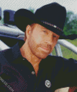 Walker Texas Ranger Character Diamond Paintings