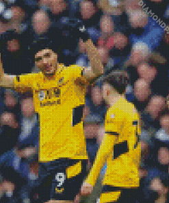 Wolverhampton F.c Diamond Paintings