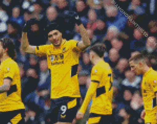 Wolverhampton F.c Diamond Paintings