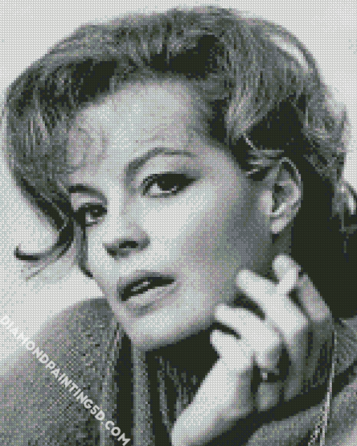 Actress Romy Schneider Diamond Paintings