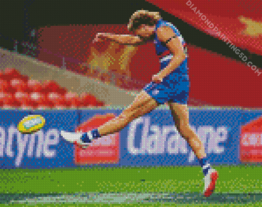 Australian Rules Football Western Bulldogs Player Diamond Paintings