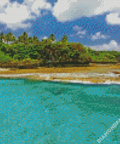 Beach In Niue Island Diamond Paintings